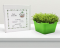 Herb Grow Kit