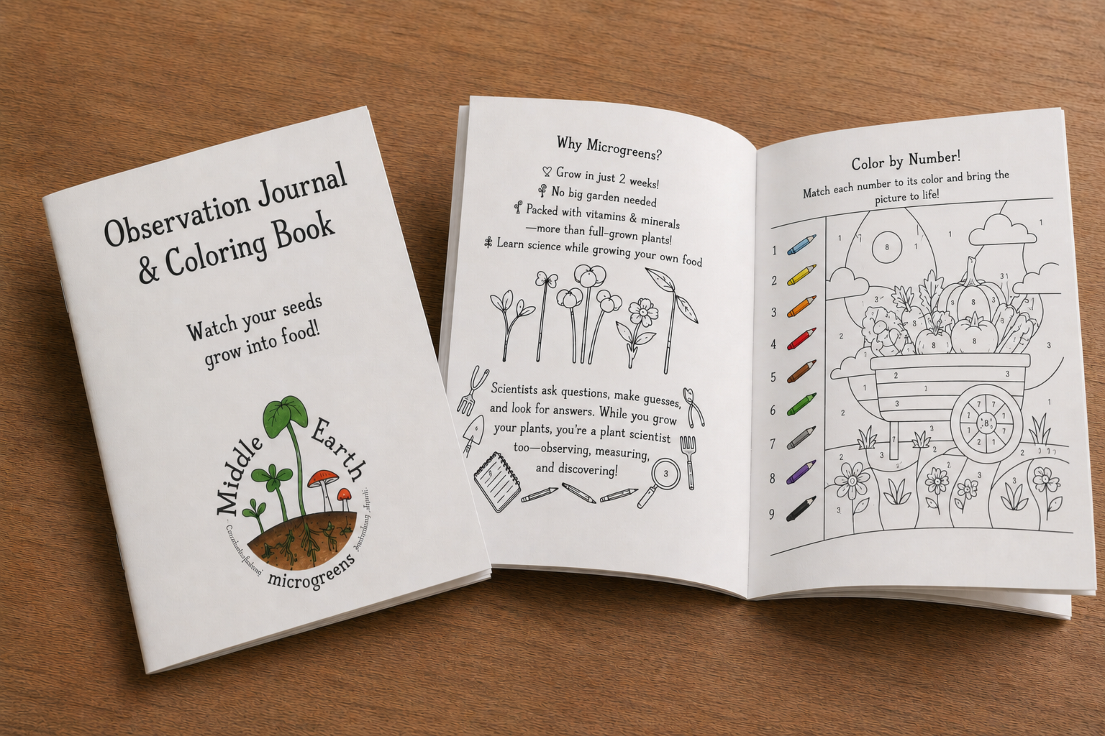 Observation Journal