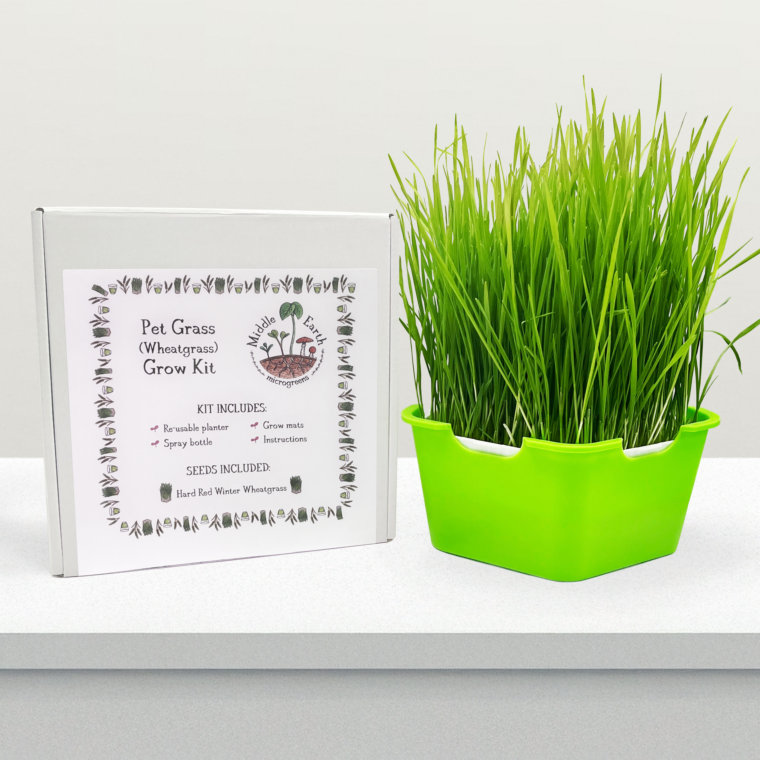 Pet Grass Grow Kit